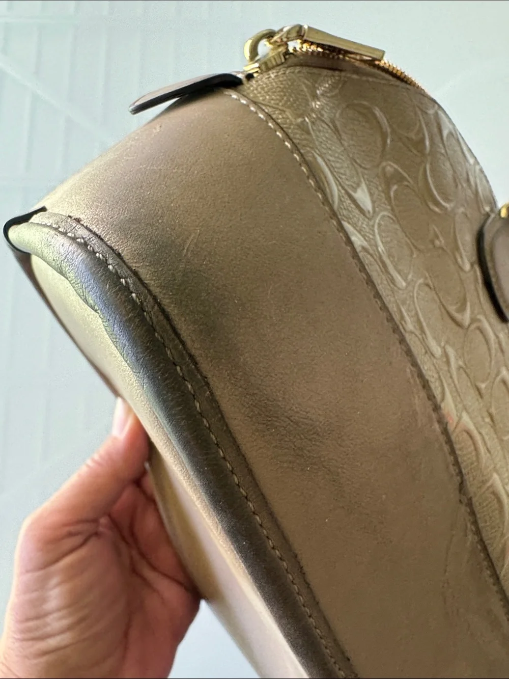 Coach Metallic Taupe Signature Dome Satchel